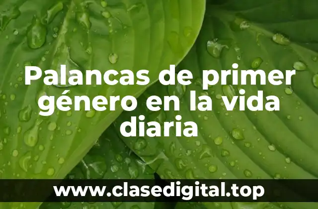 Palancas de primer género en la vida diaria