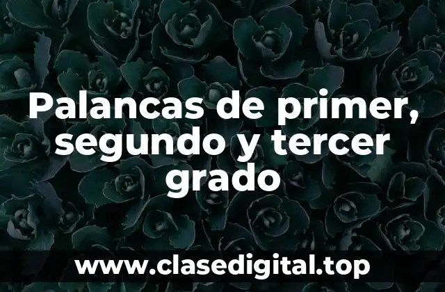 Palancas de primer, segundo y tercer grado