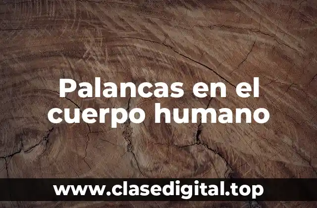 Palancas en el cuerpo humano
