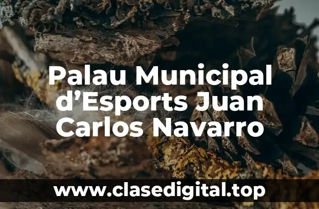 Palau Municipal d’Esports Juan Carlos Navarro