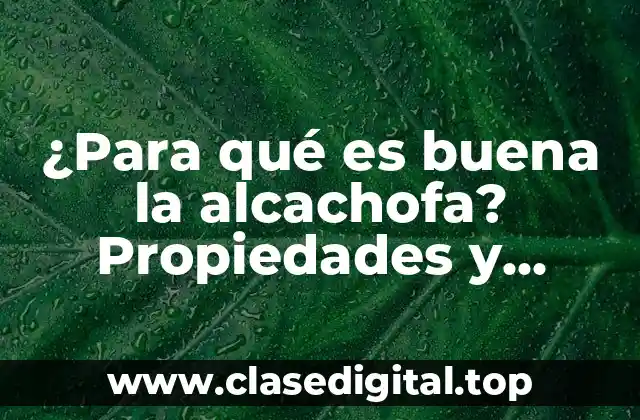 Propiedades nutricionales de la alcachofa: una fuente de vitaminas y minerales