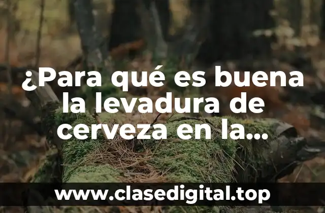 ¿Para qué es buena la levadura de cerveza en la cocina?