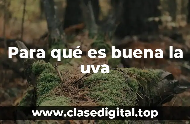 Para qué es buena la uva