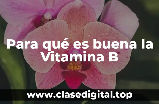 Para qué es buena la Vitamina B