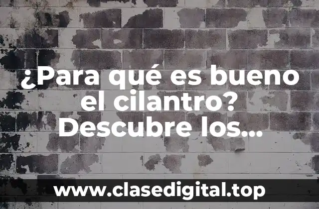 ¿Para qué es bueno el cilantro? Descubre los beneficios del cilantro para tu salud y cocina