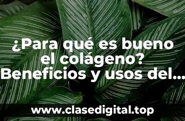 ¿Para qué es bueno el colágeno? Beneficios y usos del colágeno