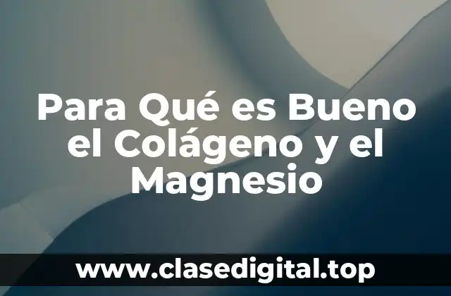 ¿Qué es el Colágeno y Cuáles son sus Beneficios?