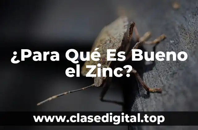 ¿Para Qué Es Bueno el Zinc?