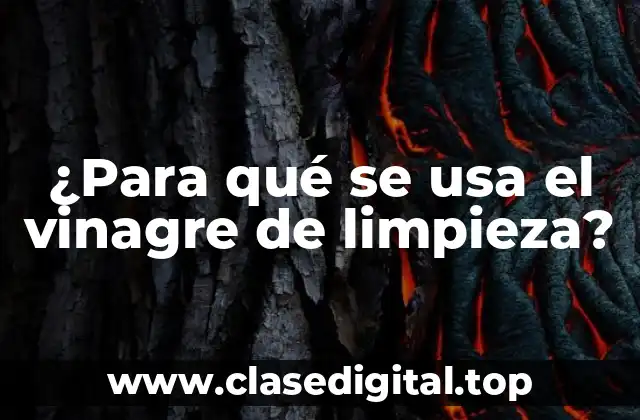 Limpieza y desinfección con vinagre de limpieza