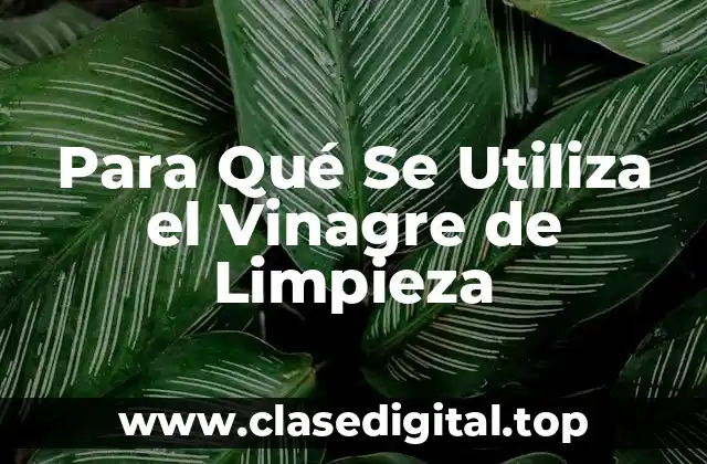 Para Qué Se Utiliza el Vinagre de Limpieza