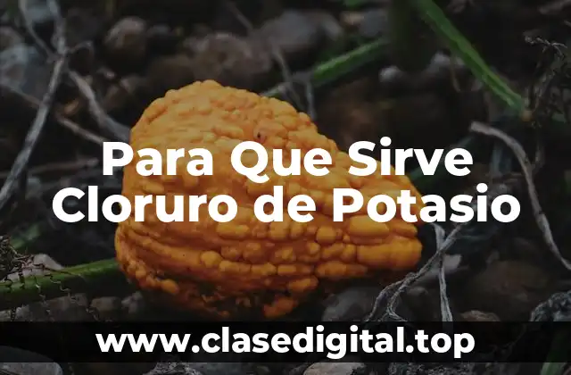 Propiedades y Características del Cloruro de Potasio