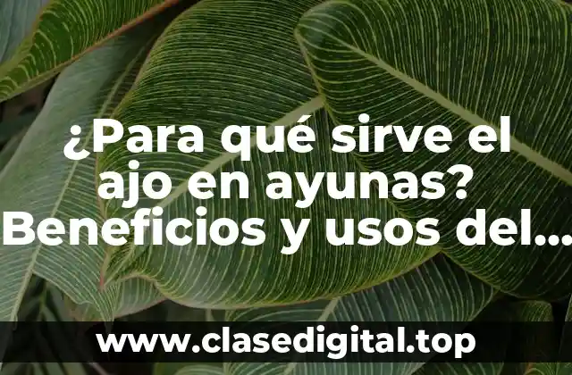 ¿Para qué sirve el ajo en ayunas? Beneficios y usos del ajo en la mañana