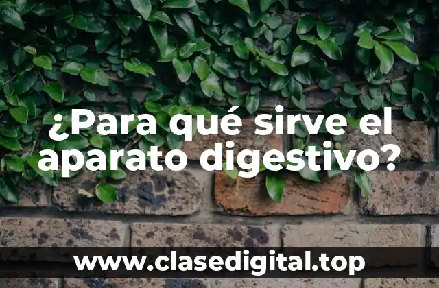 ¿Para qué sirve el aparato digestivo?