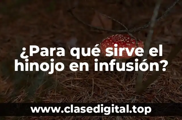 ¿Para qué sirve el hinojo en infusión?