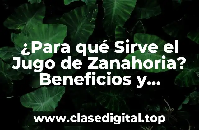 ¿Para qué Sirve el Jugo de Zanahoria? Beneficios y Propiedades