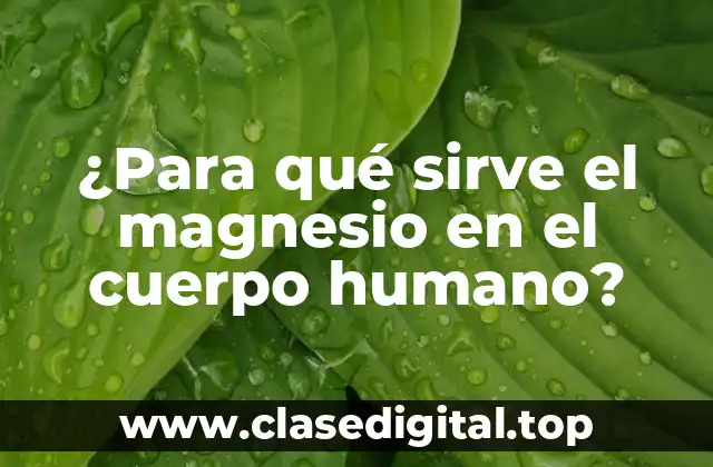 ¿Para qué sirve el magnesio en el cuerpo humano?
