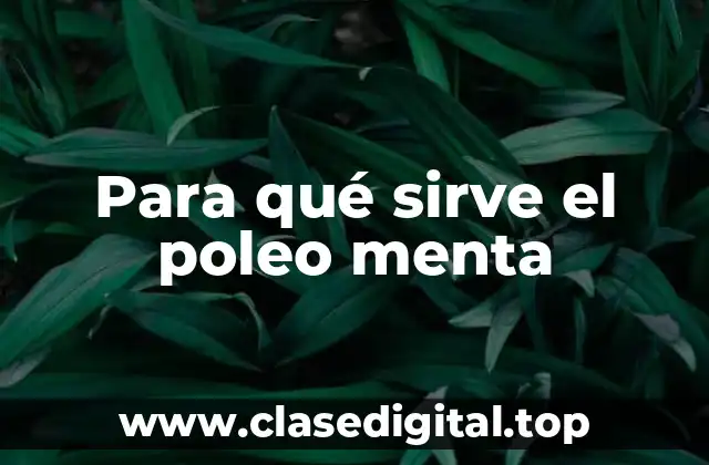 Propiedades medicinales del poleo menta