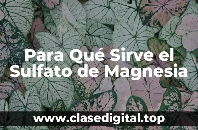 Para Qué Sirve el Sulfato de Magnesia