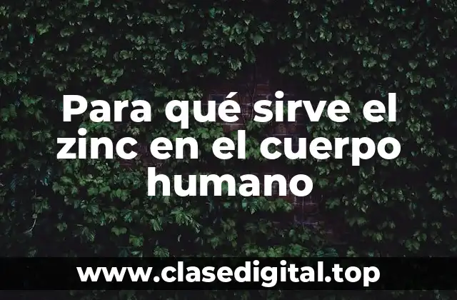 Para qué sirve el zinc en el cuerpo humano