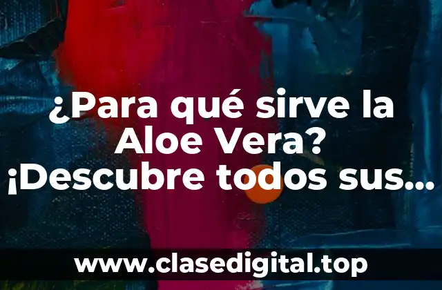 ¿Para qué sirve la Aloe Vera? ¡Descubre todos sus beneficios!