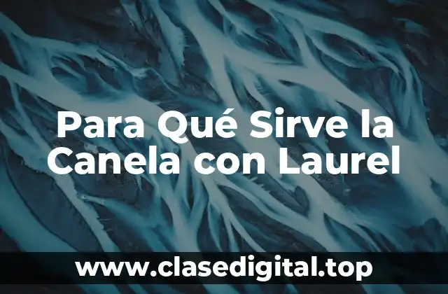 Propiedades Medicinales de la Canela