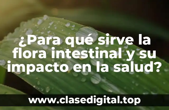 Funciones principales de la flora intestinal