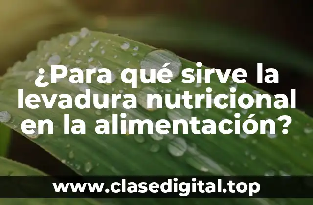 Orígenes y producción de la levadura nutricional