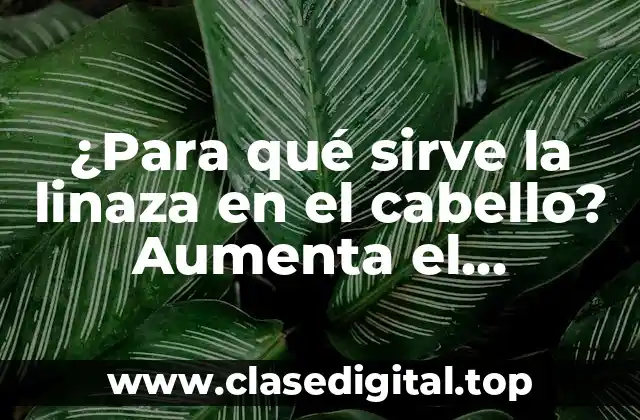 ¿Para qué sirve la linaza en el cabello? Aumenta el crecimiento y la salud capilar