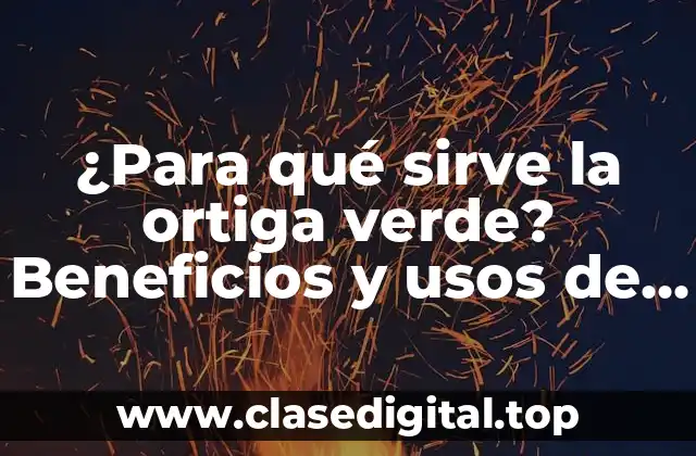 ¿Para qué sirve la ortiga verde? Beneficios y usos de esta planta medicinal