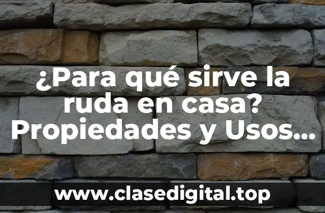 ¿Para qué sirve la ruda en casa? Propiedades y Usos Prácticos