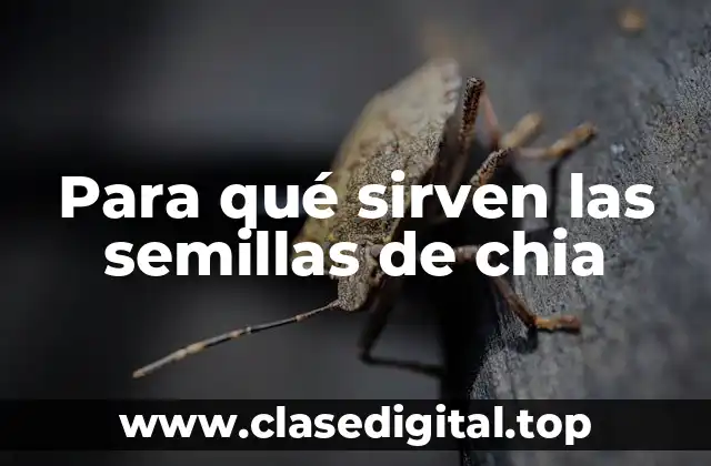 Para qué sirven las semillas de chia