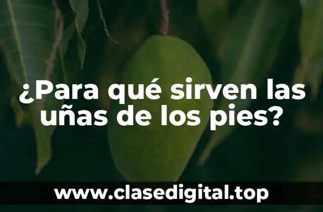 ¿Para qué sirven las uñas de los pies?