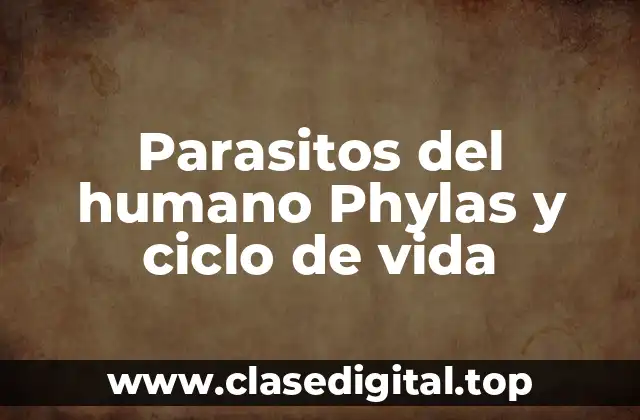 Parasitos del humano Phylas y ciclo de vida