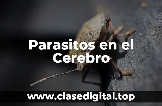 Parasitos en el Cerebro