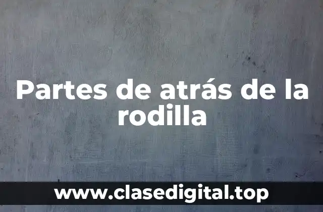 Partes de atrás de la rodilla