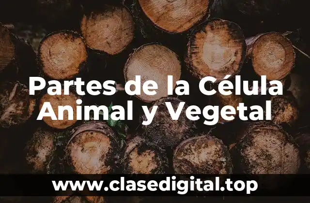 Partes de la Célula Animal y Vegetal