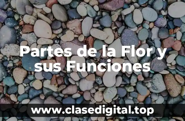 Partes de la Flor y sus Funciones