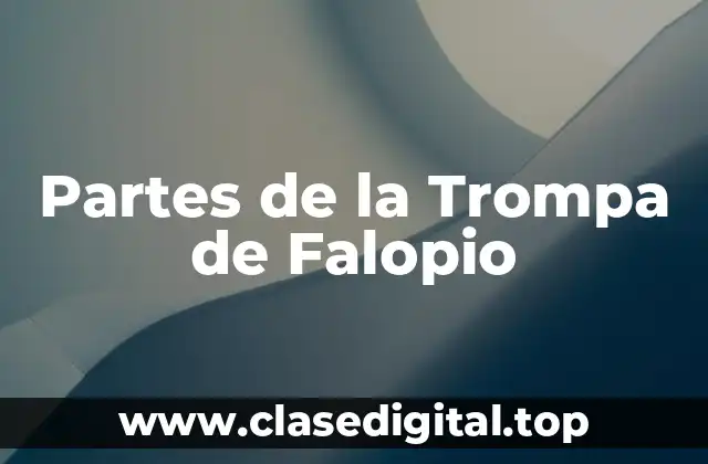 La Fimbria: La Parte más Distal de la Trompa de Falopio