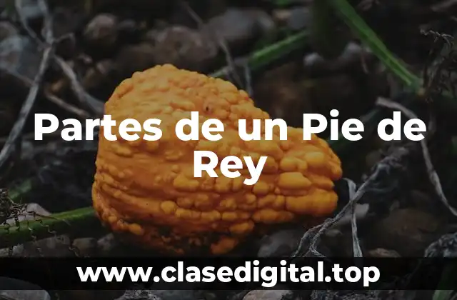Partes de un Pie de Rey