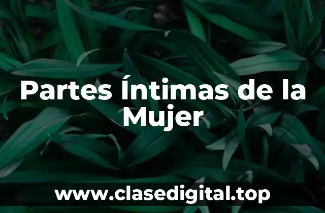 Partes Íntimas de la Mujer