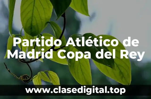 Partido Atlético de Madrid Copa del Rey