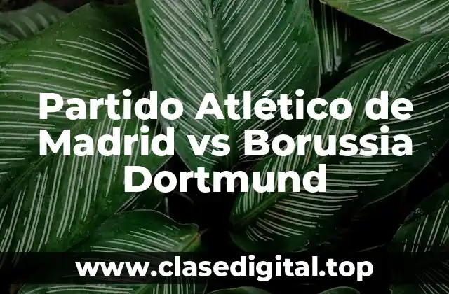 Partido Atlético de Madrid vs Borussia Dortmund