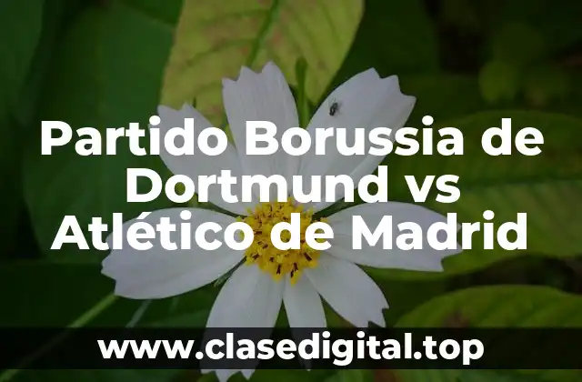 Partido Borussia de Dortmund vs Atlético de Madrid