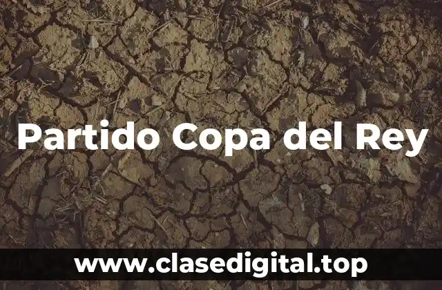 Partido Copa del Rey