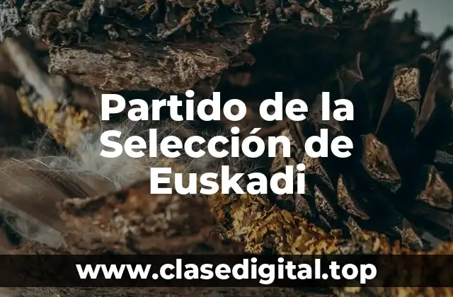 Partido de la Selección de Euskadi