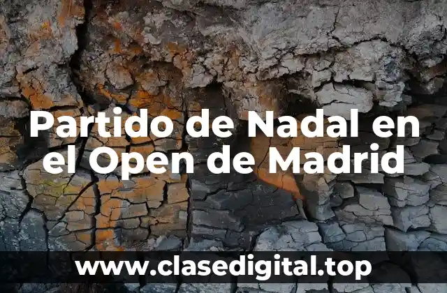 Partido de Nadal en el Open de Madrid