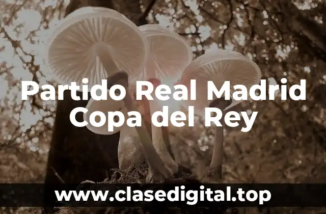 Partido Real Madrid Copa del Rey