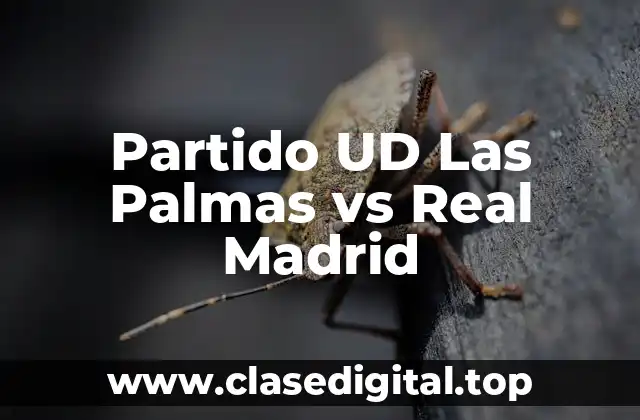 Partido UD Las Palmas vs Real Madrid