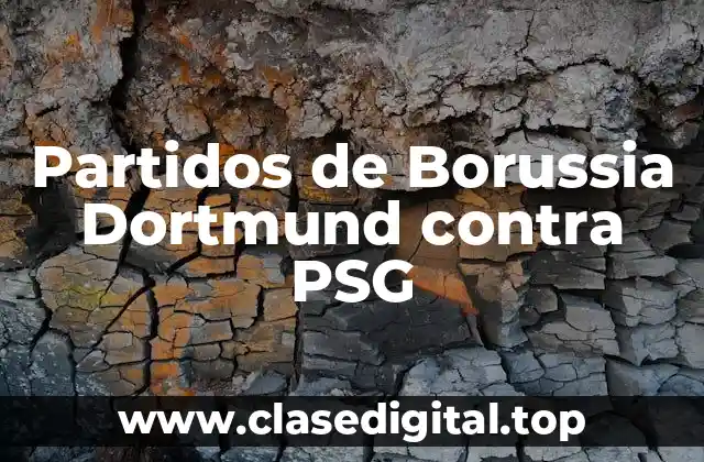 Partidos de Borussia Dortmund contra PSG