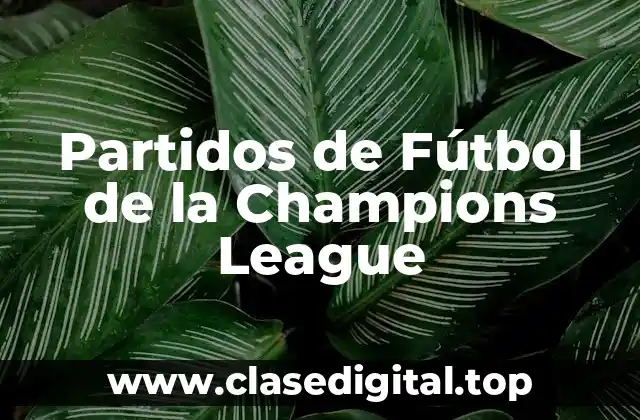 Partidos de Fútbol de la Champions League